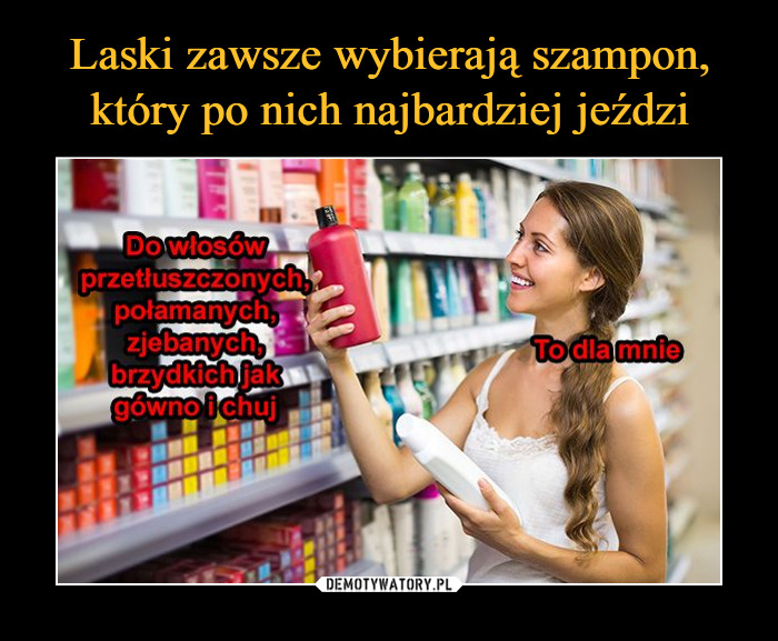 szampon do włosów który po nich jeździ