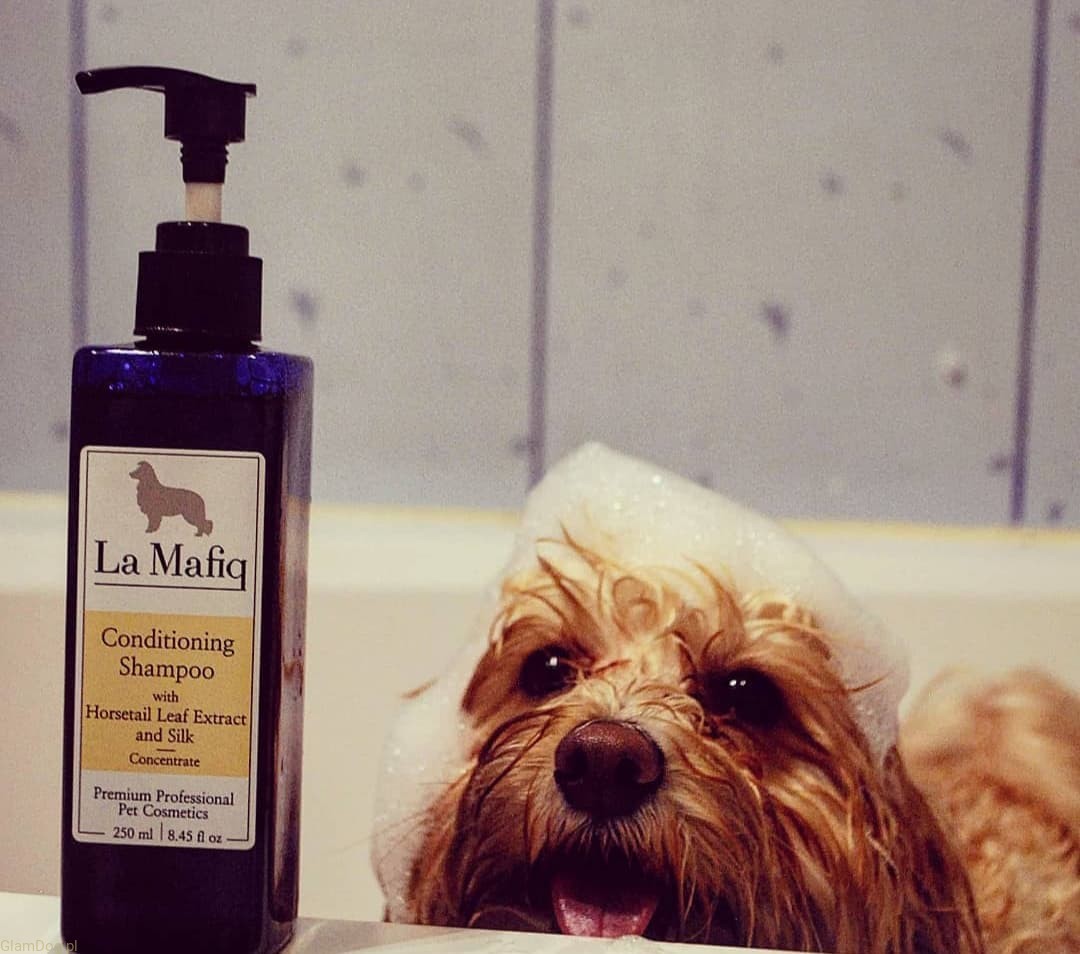 szampon profes oczyszczajacy dla psow