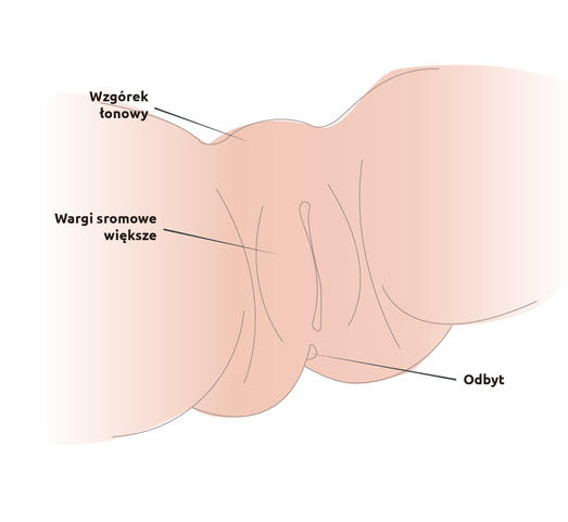 chusteczki nawilżane odbyt podrażniają wargi sromowe