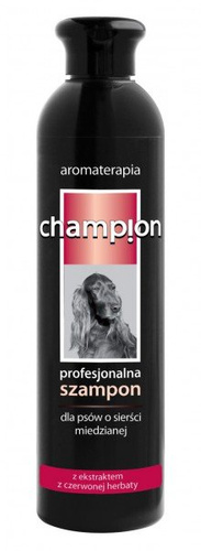 champion szampon do sierści miedzianej 250 ml