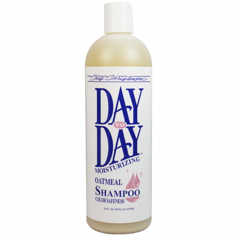 szampon day to day dla yorka