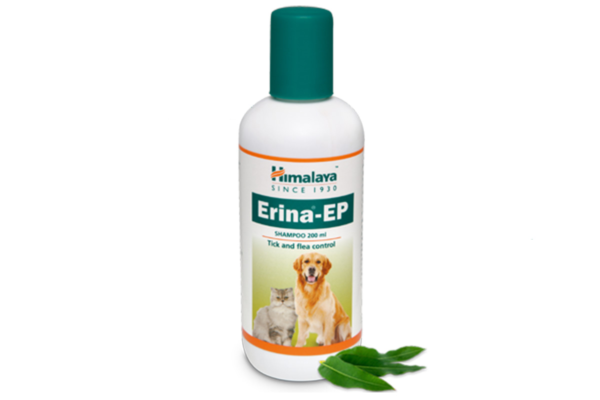 himalaya erina ep szampon opinie