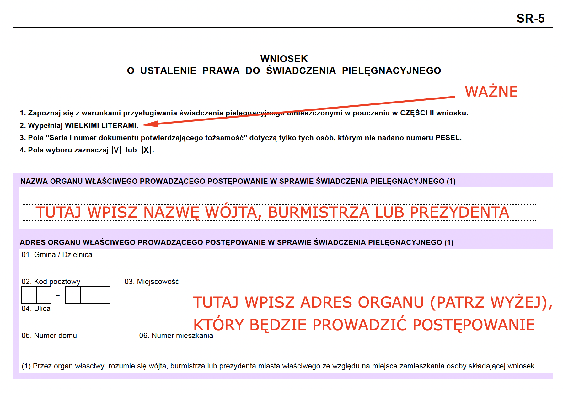 jak prawidłowo wypełnić wniosek na pieluchy