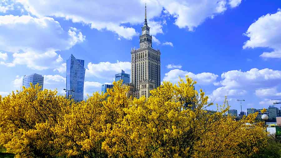 bania agafii szampon nalewka ziołowa do włosów skład