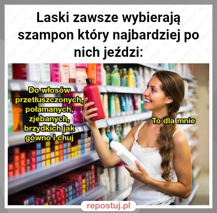 szampon do włosów który po nich jeździ