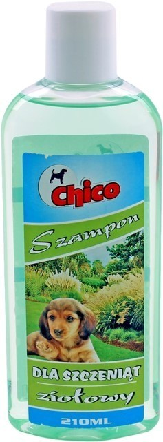 szampon chicco dla psa