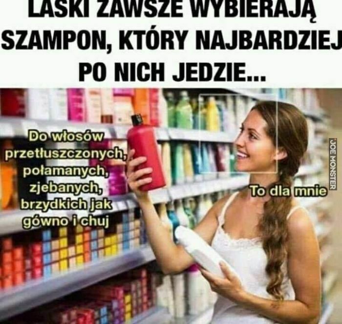 laski zawsze wybieraja szampon ktory najbardziej po nich jezdzi