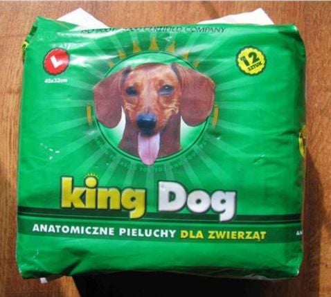 pieluchy king dog