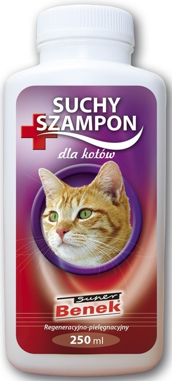 suchy szampon kot