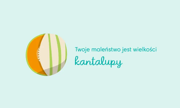 34 tydzien pampers