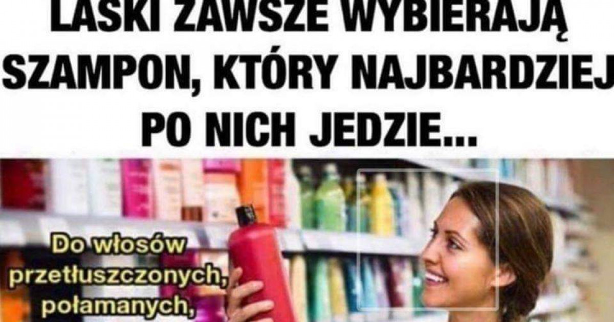 laski zawsze wybierają szampon który najbardziej po nich jedzie