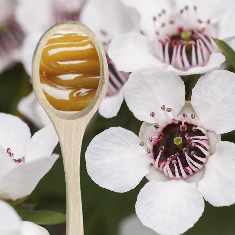 odżywka do włosów miód manuka palmers 60 g