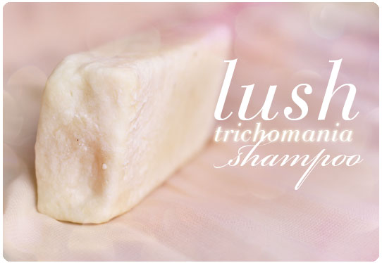 szampon do wlosow lush recenzja nlogspot