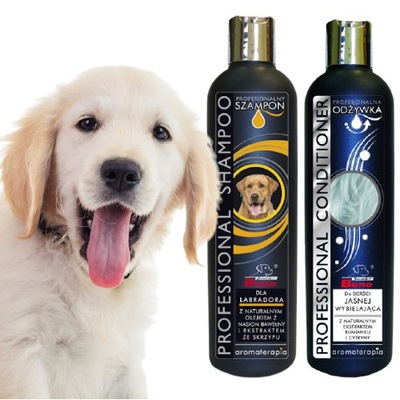 szampon dla golden retrievera