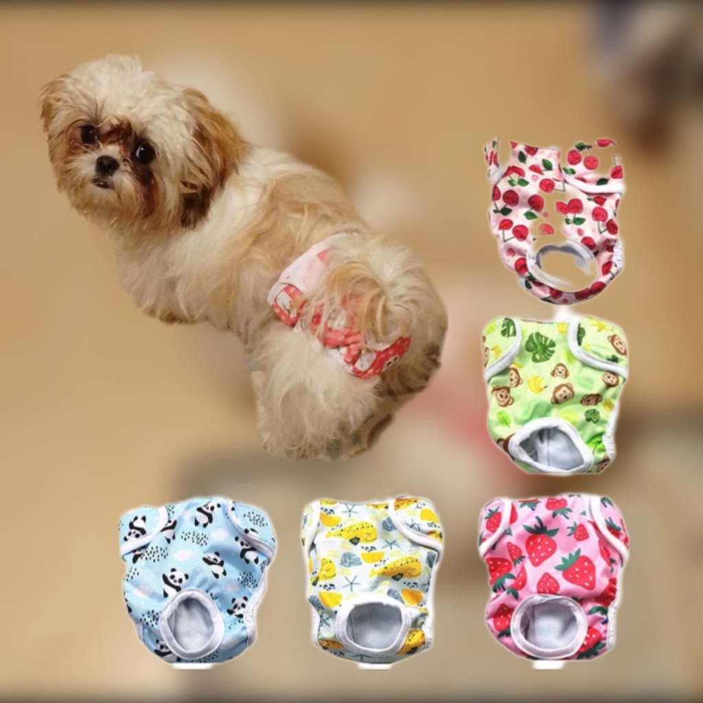 pieluchomajtki dla shih tzu