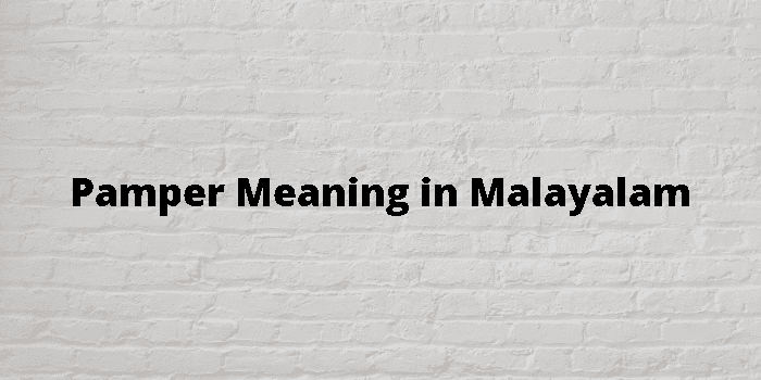 pamper meaning in malayalam