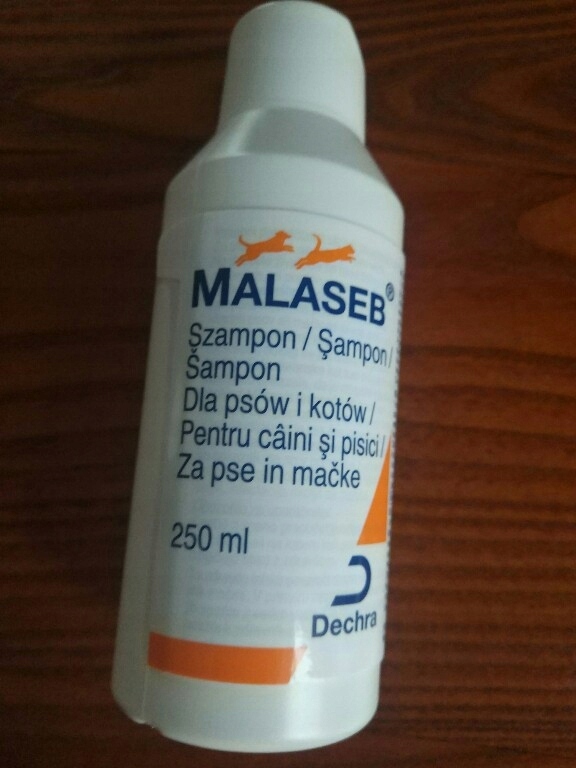 malaseb szampon dla psa caneo