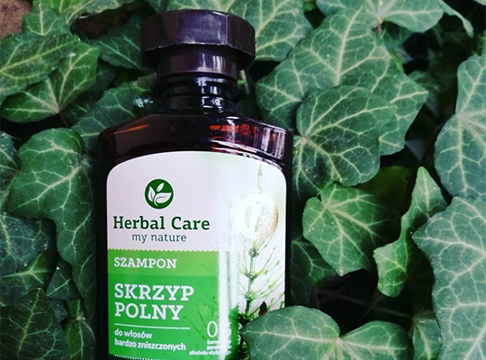 herbal care szampon skrzyp polny gdzie