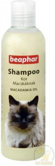 bephar szampon hair care dla kotów