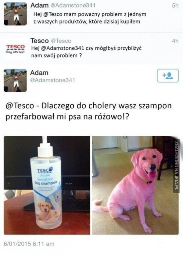 tesco pszczyna szampon do psa