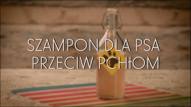 jak zrobić szampon przeciw pchłom