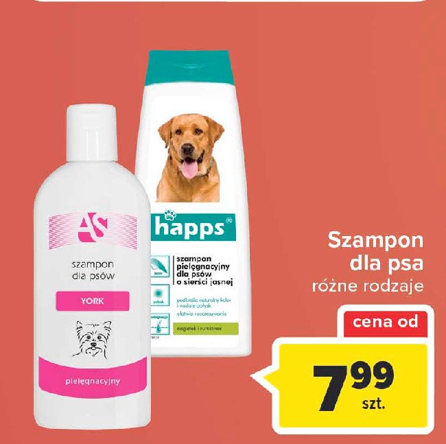 lidl szampon dla psa