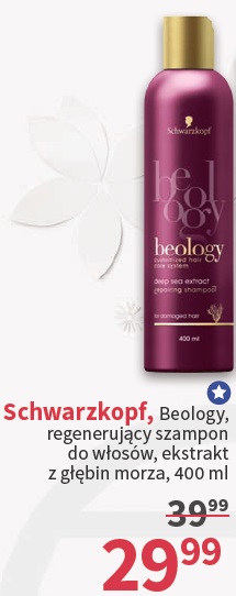 szampon beology rossmann