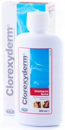 szampon dla psa clorexyderm