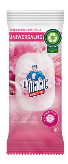 chusteczki nawilżane mr magic do szyb