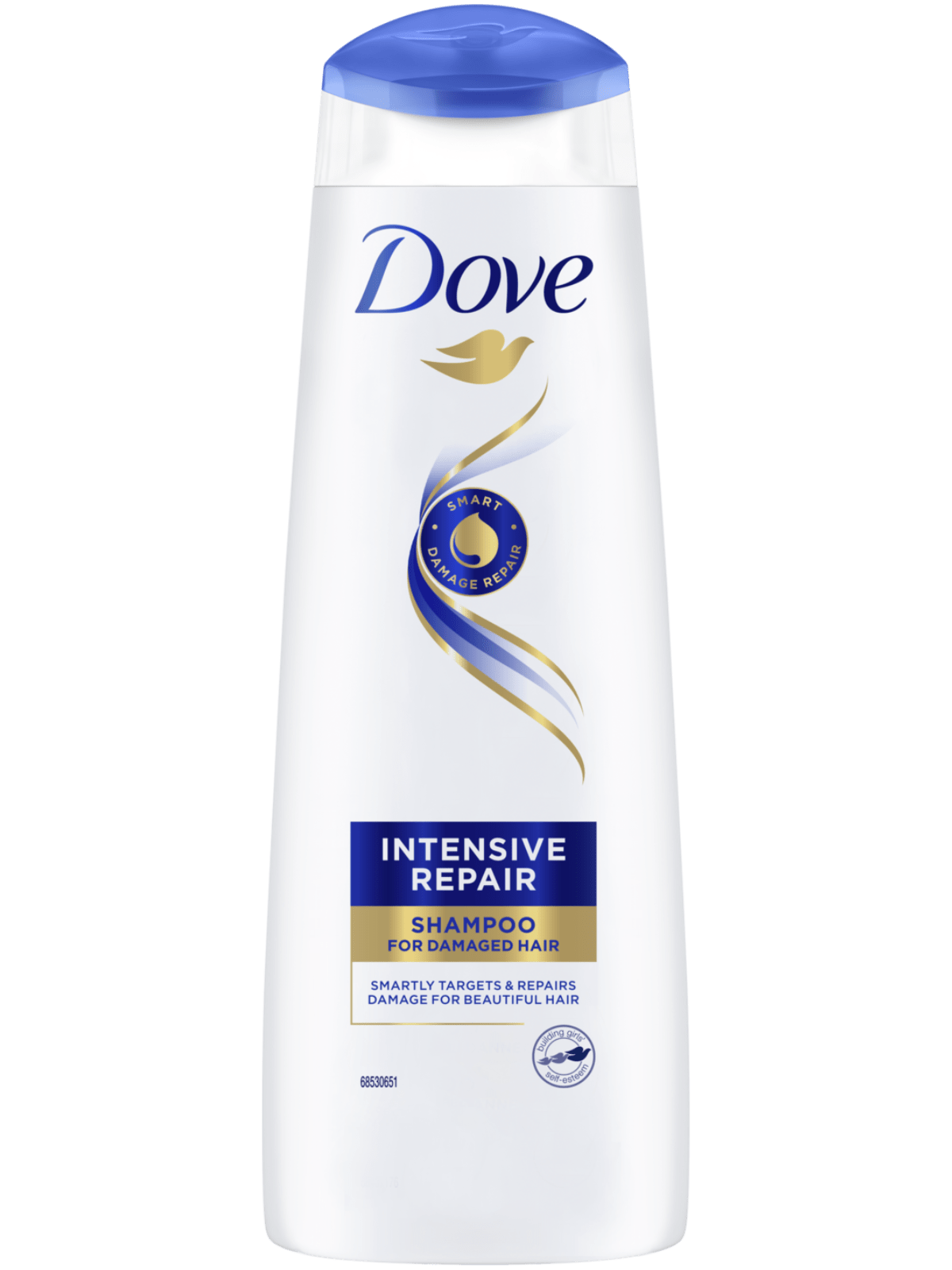 dove szampon damaged hair rossman