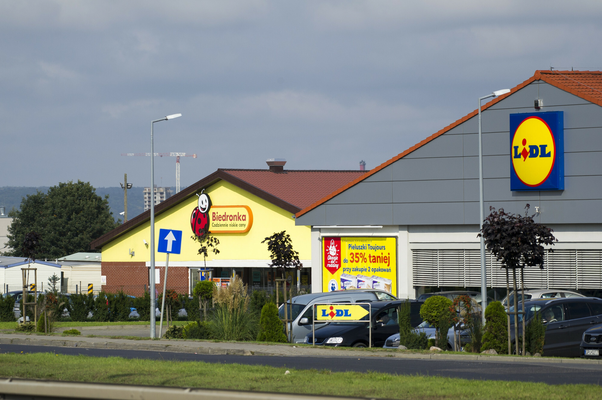 auchan tarnów pieluchomajtki