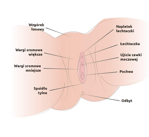 chusteczki nawilżane odbyt podrażniają wargi sromowe
