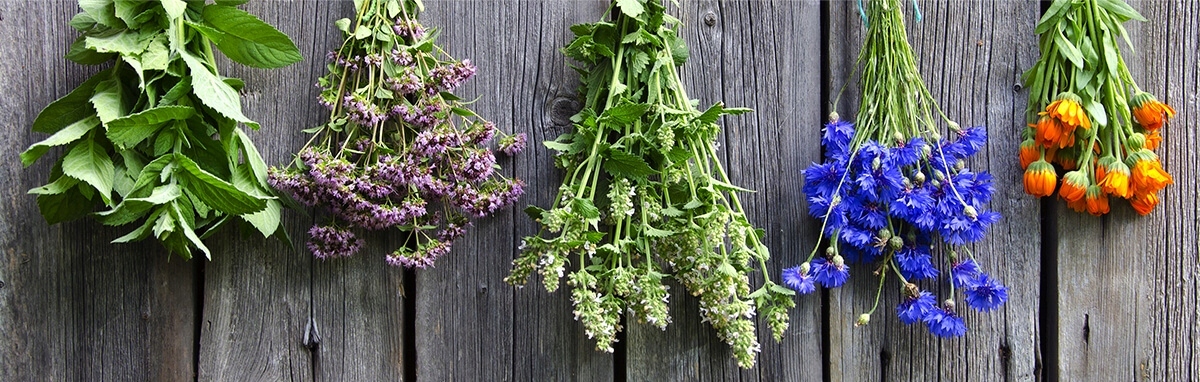 farmona herbal szampon do włosów z łupieżem