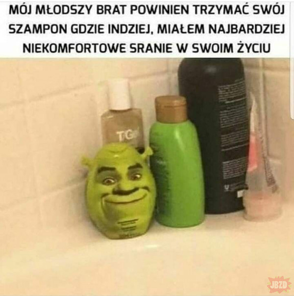 szampon xd