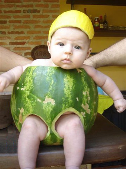 funny pictures pampers