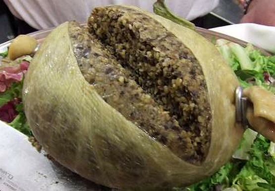 haggis gdzie kupić w polsce