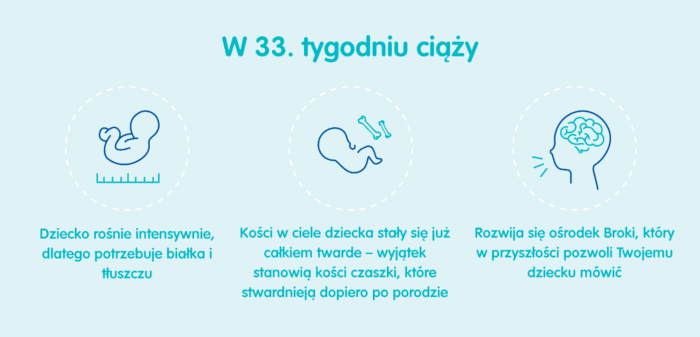 http www.pampers.pl ciaza kalendarz-ciazy seria 33-tydzien-ciazy