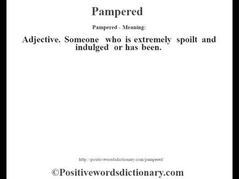 pamper meaning in english