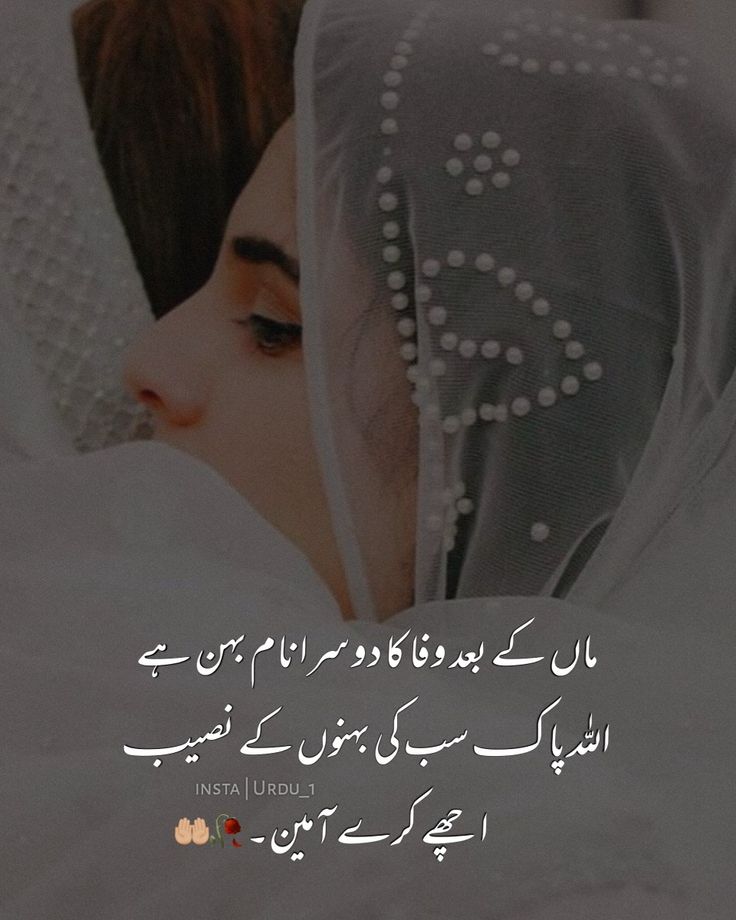 pamper sister meaning in urdu