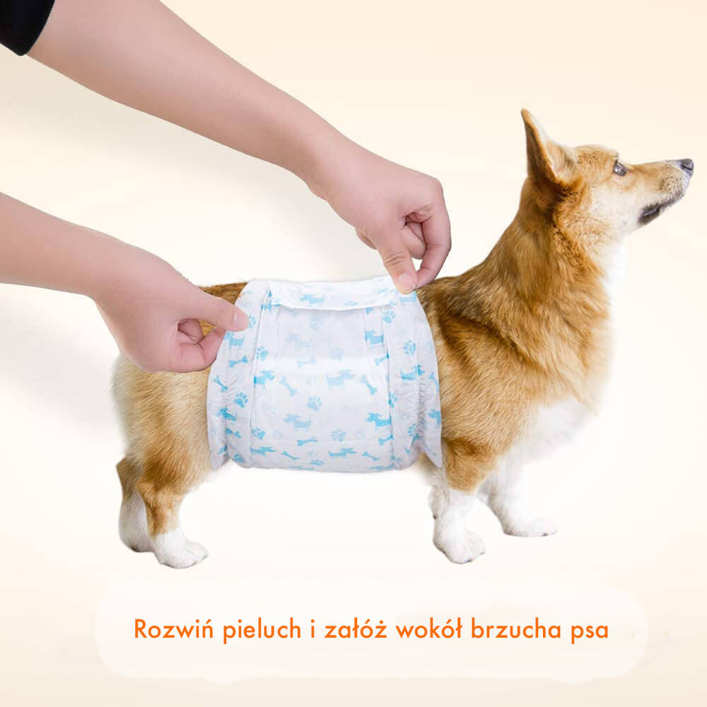 pampers dla psa jak zabezpieczuc