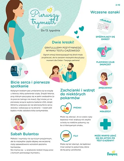 pampers kalendarz ciąży