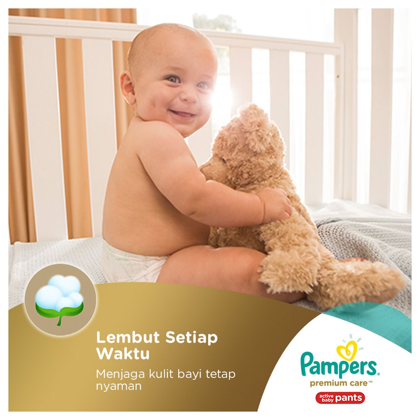 pampers premium care xxl 2