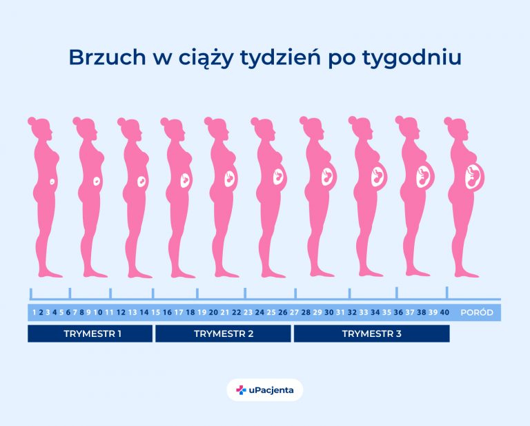 przebieg ciąży tydzień po tygodniu pampers