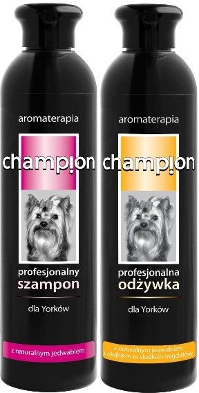 szampon champion dla yorka cena