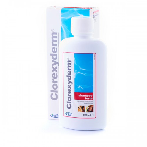 szampon dla psa clorexyderm