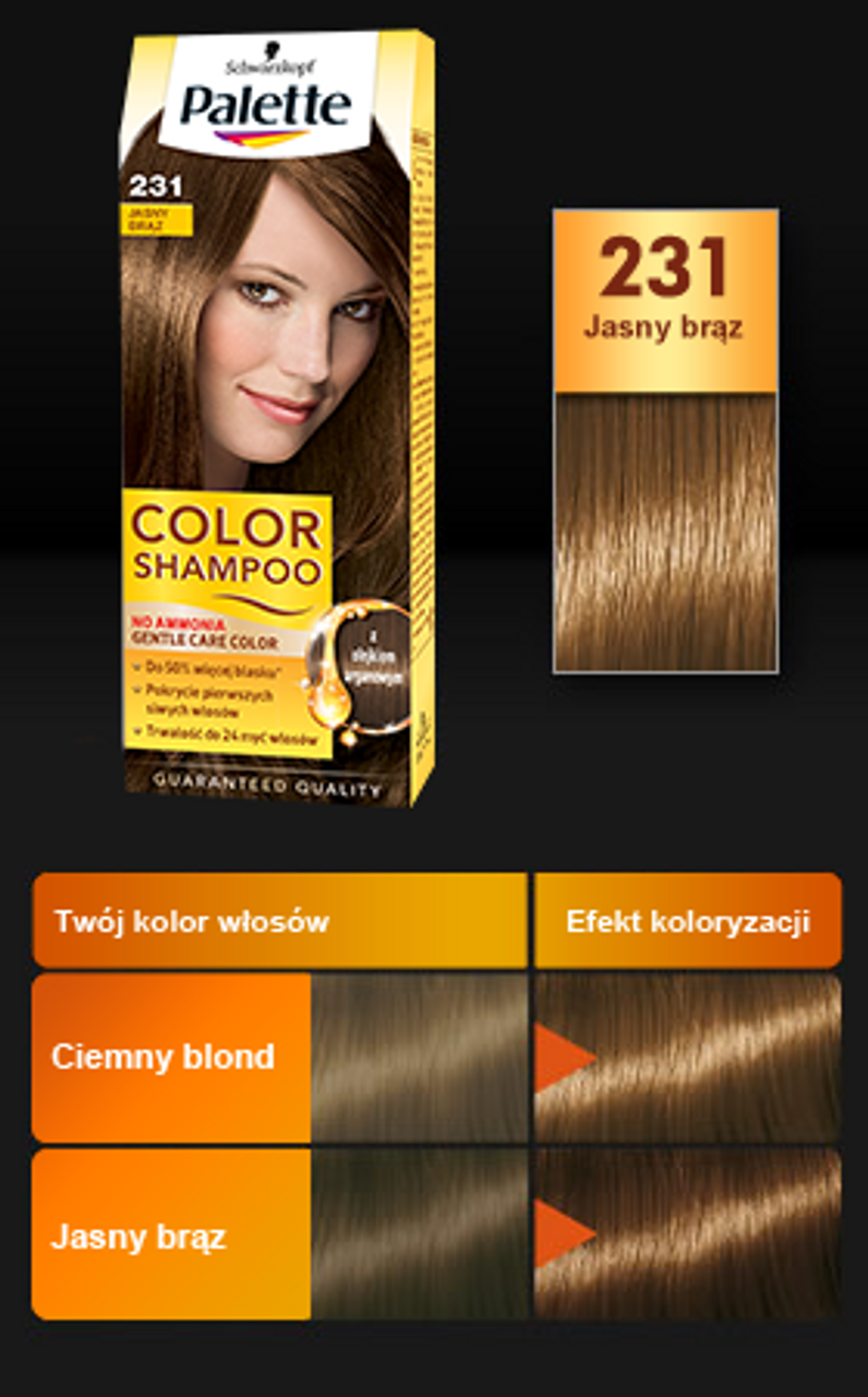 szampon koloryzujący palette color and gloss 9.5