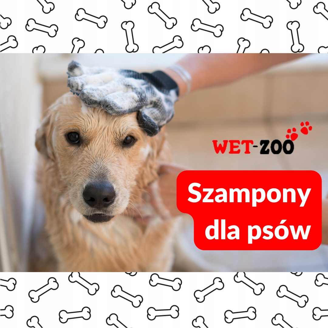 szampon pokrzywowy a kompiel psa