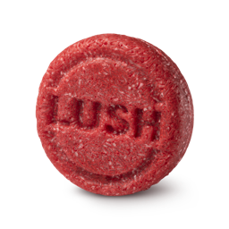 szampon w kastce lush