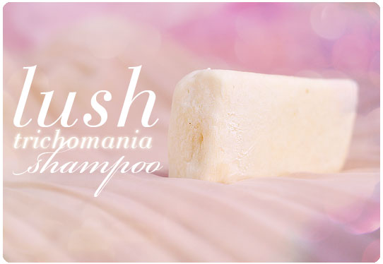 szampon w kostce na porost włosów lush